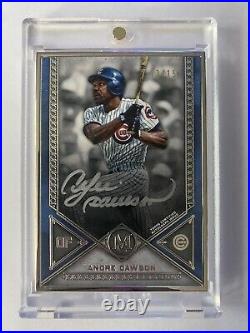 2019 Topps Museum Andre Dawson Silver Framed Auto /15 Cubs Legend