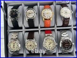 Seiko Alpinist Watch Collection